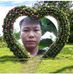 Trinh Bui - Facebook