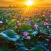 Trinh Ta - Facebook