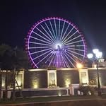 Tony Trịnh - @trinh.tony - Instagram