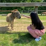 Trinh Ton - @trinht_t37 - Instagram