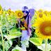 Trinh Tôn - Facebook
