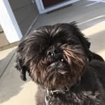 TrinityBallard16 - @trinityballard16 - Instagram