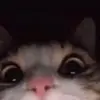 hiiii! 🥲 - @trinitybauerr - TikTok