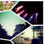 Trinity Dawson Boyce - @trin_the.bin - Instagram