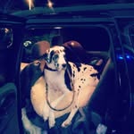 Trinity downs - @trinitydowns8 - Instagram