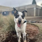Trinity grace Downs - @trinitygracedowns - Instagram