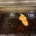 Trinity Fish Bar and Restaurant - Facebook