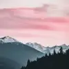 Trinity Gilbert - @lifestyle4654 - TikTok