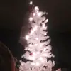 Trinity - @trinity_green11 - TikTok