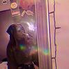 Trinity - @.trinityhorner - TikTok