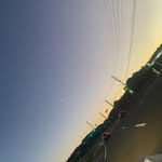 Trinity Horne - @_trinity_750 - Instagram