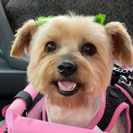 Trinity Jackson  - Facebook