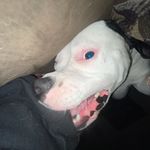 Trinity kennedy - @oxbeelzebubxo - Instagram