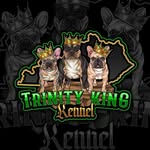 Trinity King Kennels - @trinitykingkennel - Instagram