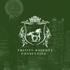 Trinity Knights Consulting - @trinityknightsconsulting - TikTok