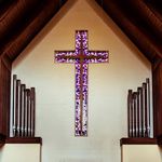 Trinity - @trinityknoxville - Instagram