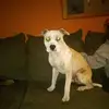 trinityowens239 - @trinityowens239 - TikTok