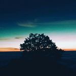 Trinity Peterson - @trinity.peterson.092108 - Instagram