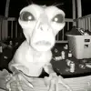 Tr_goodfriend - @trinityross7 - TikTok