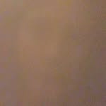 trinity_schroeder13 - @trinlynne13 - Instagram