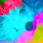 Trinity sellers - @sellers.trinity - Instagram
