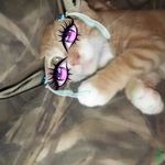 Trinity sellers - @trinityj08 - Instagram