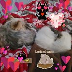 Trinity Vang - Facebook