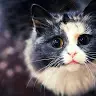 Trinity Walters - @trinitywalters01 - TikTok