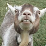 trinity warren - @trinity_is_goat_99 - Instagram