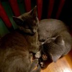 Trinity Weaver - Facebook