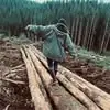 Trinity Weaver - @trinity.weaver8 - TikTok