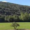 Trino Sanchez - @trino.sanchez3 - TikTok