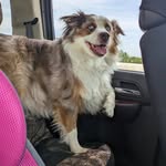 Trip Miller - @tripmiller3 - Instagram