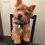 Trip Miller - @miller_trip - Instagram