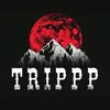 TRIPPP - @thebandtrippp - TikTok