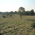 Ana Gutierrez - @tripp.evans.10 - Instagram