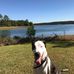 Tripp Evans - Facebook