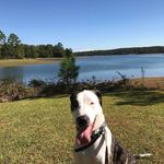 Tripp Evans - @trippevans1 - Instagram