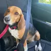 tripp_james - @tripp_james0 - TikTok