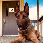 Tripp Wilson - @tech_vr4 - Instagram