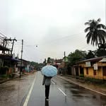 Tripti Das - @dastripti795 - Instagram