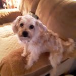 Trish Abrams - @trish.abrams - Instagram