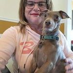 Trish Armstrong - @trish_armstrong_herstory - Instagram