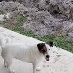 Trish Austin - @redneckjrt - Instagram