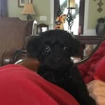 Patricia Davis Barnett - @trish.barnett.311 - Instagram