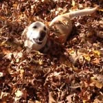 Trish Bauer - @pbbauer74 - Instagram