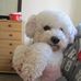Trish Bradshaw - Facebook