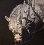 Patricia Brandt - Facebook
