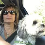 Trish Brandt - @coachtrishb - Instagram