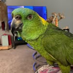 Trish Briggs - @illcheckin - Instagram